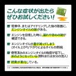 画像10: エンジンオイル添加剤 漏れ防止添加剤 エンジン内部洗浄 多走行車 ガソリン車 ディーゼル車 オイル上がり下がり TAKUMIモーターオイル AID SEAL+1 (10)