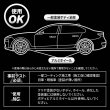 画像13: TAKMO 鉄粉除去剤 車用 鉄粉クリーナー 鉄粉除去スプレー ボディ 鉄粉取り ガラスコーティング前下地処理 洗車 カーケア コーティング前処理 IRON (13)
