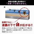 画像6: TAKMO 鉄粉除去剤 車用 鉄粉クリーナー 鉄粉除去スプレー ボディ 鉄粉取り ガラスコーティング前下地処理 洗車 カーケア コーティング前処理 IRON (6)