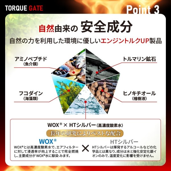 画像11: トルクゲイト トルクアップ 燃費改善 エアフィルター 燃焼効率改善スプレー 特許取得済み 自動車 二輪 1本スプレーするだけ 自然由来の安全成分使用 効果実感 有害ガス減少 ガソリン ディーゼル ハイブリッド クリーンディーゼル 遅効性 トルクゲイト (11)