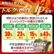 画像6: トルクゲイト トルクアップ 燃費改善 エアフィルター 燃焼効率改善スプレー 特許取得済み 自動車 二輪 1本スプレーするだけ 自然由来の安全成分使用 効果実感 有害ガス減少 ガソリン ディーゼル ハイブリッド クリーンディーゼル 遅効性 トルクゲイト (6)